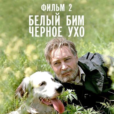 Лот: 24810437. Фото: 1. Белый Бим Черное ухо. Фильм 2. Видеозаписи, фильмы