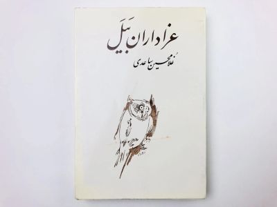 Лот: 23277461. Фото: 1. Azadaran-E Bayal (Скорбящие из... Другое (литература, книги)