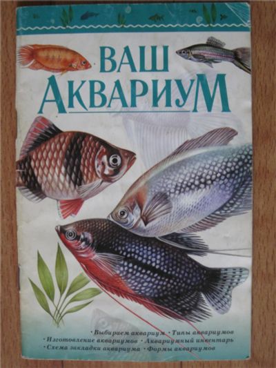 Лот: 11224733. Фото: 1. Ваш Аквариум. Другое (аквариумистика)