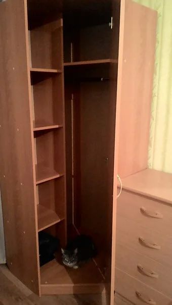 Лот: 7555936. Фото: 1. Угловой шкаф. Шкафы, шкафы-купе