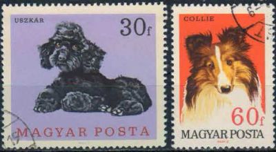 Лот: 20819929. Фото: 1. 1967. Венгрия. Собаки. н.с... Марки