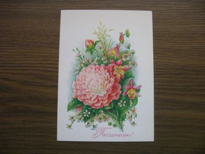 Лот: 19573895. Фото: 1. Открытка СССР. Худ. Л. Бодрихина... Открытки, конверты