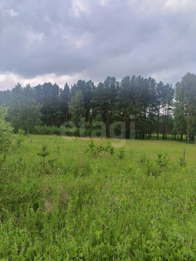 Лот: 25618007. Фото: 1. участок , СНТ Рублёвка Смоленская... Земельные участки