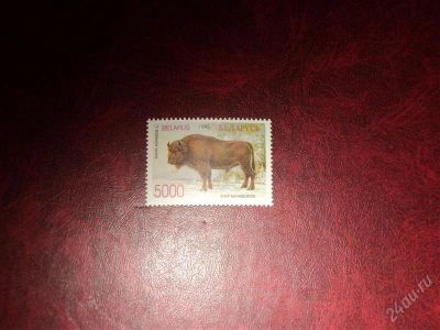Лот: 795186. Фото: 1. Фауна Белоруссии. Зубр. (1995... Марки