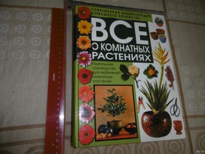 Лот: 18556466. Фото: 1. "Все о комнатных растениях". 1998... Сад, огород, цветы