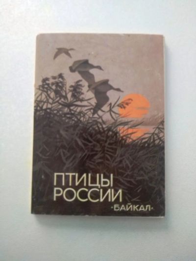 Лот: 20078451. Фото: 1. Комплект открыток "Птицы России... Открытки, конверты