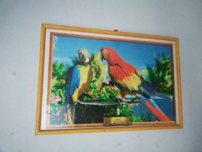 Лот: 11799068. Фото: 1. Заламинированная двухсторонняя... Фотографии
