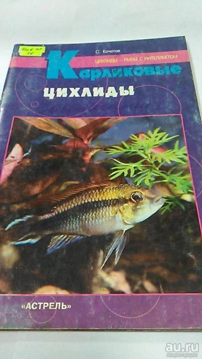 Лот: 9979340. Фото: 1. Книга. Карликовые цихлиды. С... Домашние животные