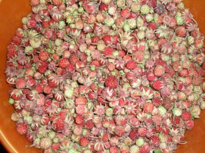 Лот: 4293532. Фото: 1. Продам клубнику!!!. Ягоды, орехи