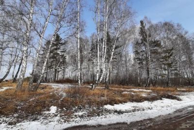 Лот: 25295989. Фото: 1. участок , ДНТ Южный Склон ДНТ... Земельные участки