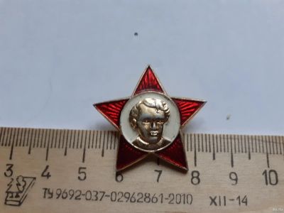 Лот: 17968535. Фото: 1. (№10146) значки,Ленин, октябрята... Другое (значки, медали, жетоны)