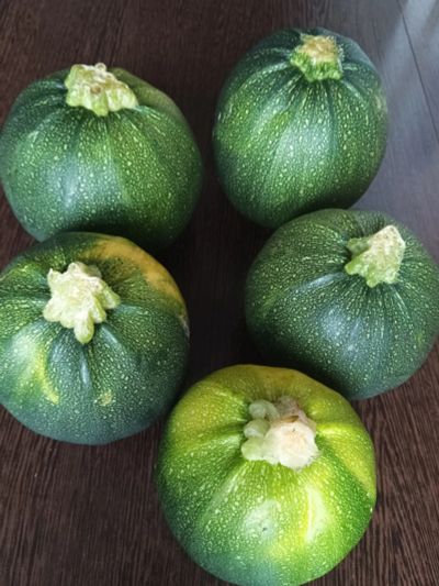 Лот: 23537412. Фото: 1. Кабачки круглые побольше. Овощи, фрукты, зелень