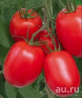 Лот: 17154796. Фото: 1. Томаты (помидоры), семена домашние... Овощи