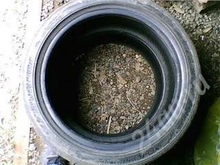 Лот: 353194. Фото: 1. Шина (летняя) DUNLOP 195/45R16. Шины