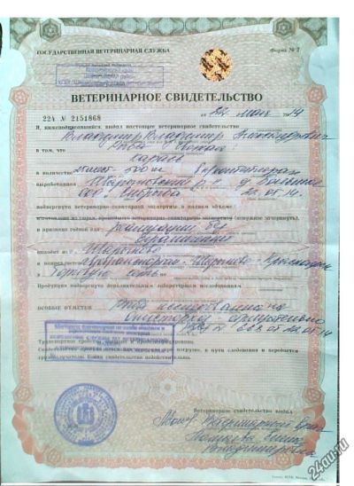 Лот: 5900253. Фото: 1. Карась. Икра, рыба, морепродукты