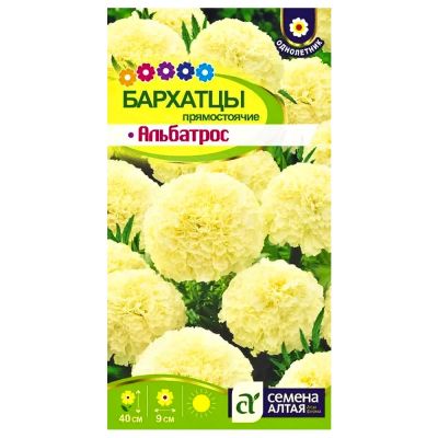 Лот: 22036965. Фото: 1. Бархатцы прямостоячие Альбатрос... Садовые цветы
