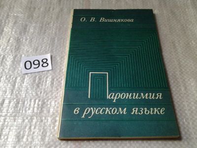 Лот: 6104580. Фото: 1. Вишнякова, О.В.: Паронимы современного... Другое (общественные и гуманитарные науки)