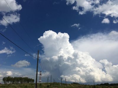 Лот: 17330866. Фото: 1. участок. Земельные участки