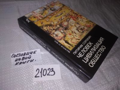 Лот: 13468355. Фото: 1. оз (03..03) Сорокин Питирим, Человек... Социология