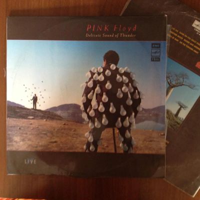 Лот: 5201673. Фото: 1. Pink Floyd - Delicate Sond of... Аудиозаписи