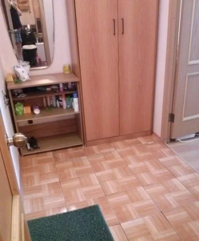 Лот: 6832909. Фото: 1. Сдаётся однокомнатная квартира... Квартиры, студии