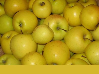 Лот: 8146105. Фото: 1. Продам ранетки, яблочки, полукультурка... Овощи, фрукты, зелень