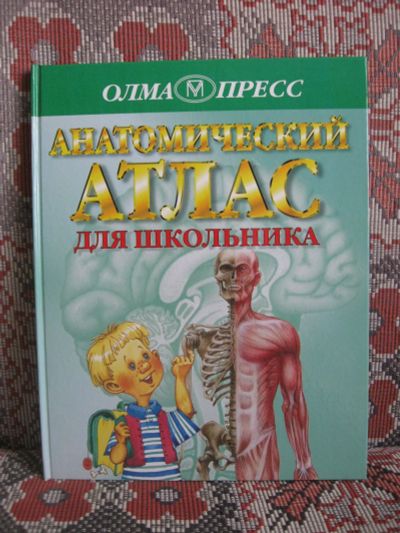 Лот: 18845875. Фото: 1. Анатомический атлас для школьника. Для школы