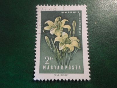 Лот: 17077007. Фото: 1. Марка для Вашей коллекции. №22528. Марки