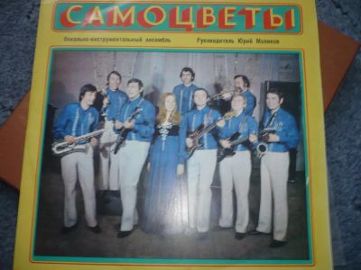 Лот: 5052150. Фото: 1. Пластинка ВИА "Самоцветы". Песни. Аудиозаписи
