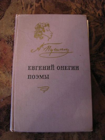 Лот: 3280124. Фото: 1. Пушкин "Евгений Онегин". Художественная