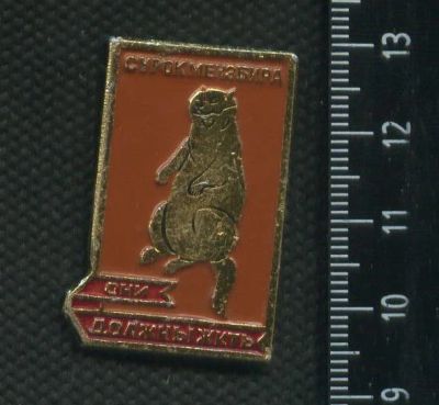 Лот: 16394999. Фото: 1. ( № 5834 ) значки,они должны жить... Сувенирные