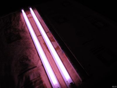 Лот: 13011031. Фото: 1. Лампа люминесцентная для рассады... Другое (семена, рассада, садовые растения)