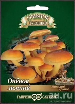 Лот: 8553977. Фото: 1. Мицелий Грибы Опенок зимний на... Другое (семена, рассада, садовые растения)