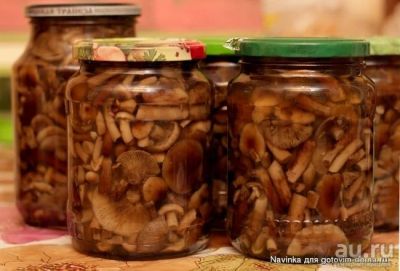 Лот: 8117373. Фото: 1. опята маринованные. Грибы