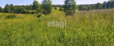 Лот: 25296569. Фото: 1. участок , садоводческое некоммерческое... Земельные участки