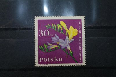 Лот: 3961163. Фото: 1. марка 6 Польша 1964 г флора. Марки
