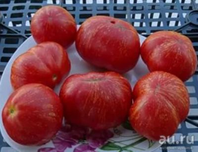 Лот: 13246870. Фото: 1. Рассада томатов. Редкие урожайные... Овощи