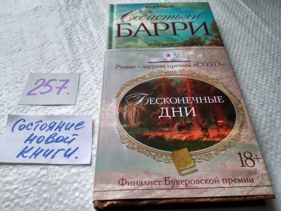 Лот: 17620896. Фото: 1. Барри Себастьян Бесконечные дни... Художественная