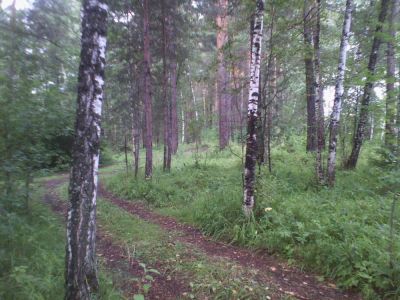 Лот: 7695782. Фото: 1. зем. Земельные участки