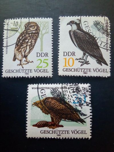 Лот: 18886085. Фото: 1. DDR 1982 г. Хищные птицы. Фауна. Марки