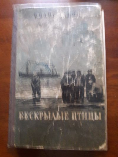 Лот: 12491630. Фото: 1. Вилис Лацис "Бескрылые птицы". Художественная