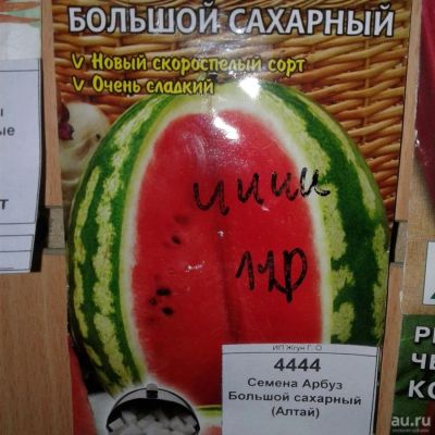 Лот: 9125071. Фото: 1. Семена / Арбуз / Большой / сахарный... Овощи