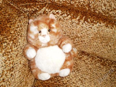 Лот: 332315. Фото: 1. Рыжий кот. Другое (дети растут)
