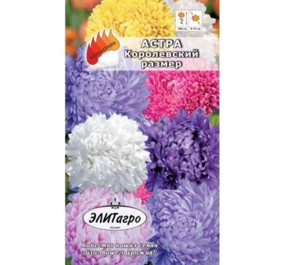 Лот: 11024632. Фото: 1. Астра Королевский размер смесь0... Садовые цветы