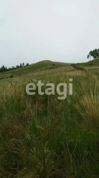 Лот: 23479275. Фото: 1. Продам участок 10.1 сот. Красноярск. Японская кухня