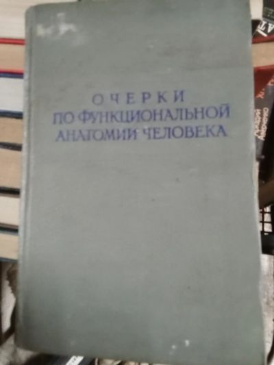 Лот: 20307757. Фото: 1. Книга анатомия человека. История
