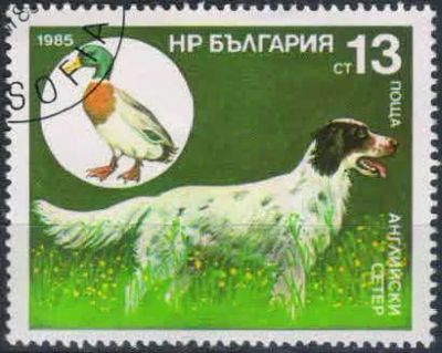 Лот: 21453403. Фото: 1. 1985. Болгария. Охотничьи собаки... Марки