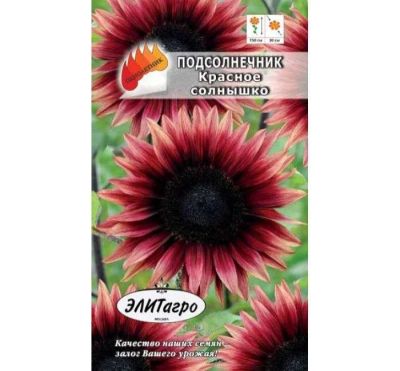 Лот: 11025467. Фото: 1. Подсолнечник Красное солнышко... Садовые цветы
