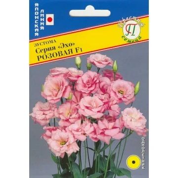 Лот: 9380052. Фото: 1. Эустома Эхо Розовая махровая. Садовые цветы