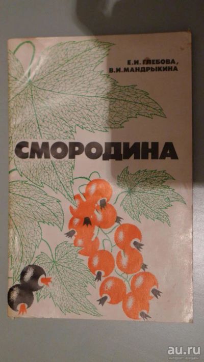 Лот: 8954375. Фото: 1. Смородина 1984год, 80стр. Сад, огород, цветы